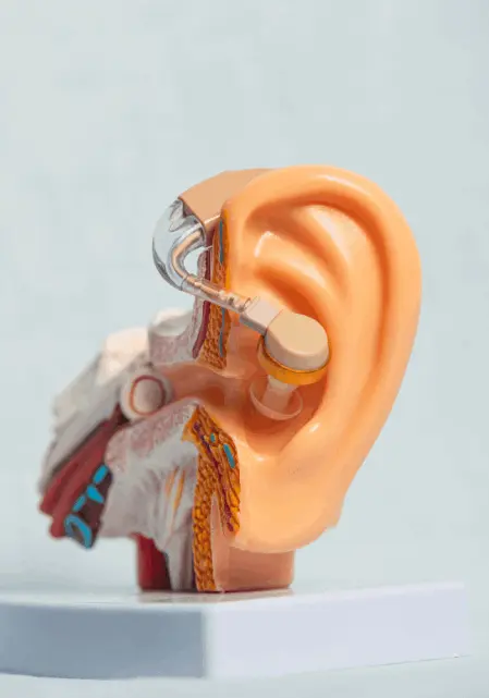 tinnitus for audi fort supplement